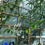 Hostel Meljska Maribor
