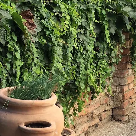 旅馆 Meljska 马里博尔