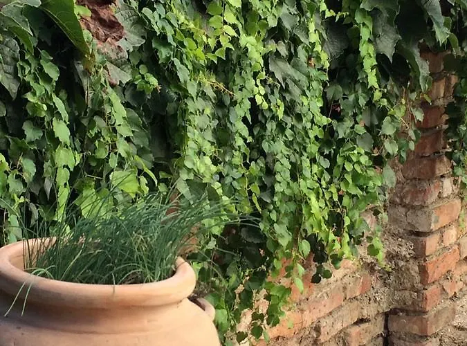 호스텔 Meljska 마리보르